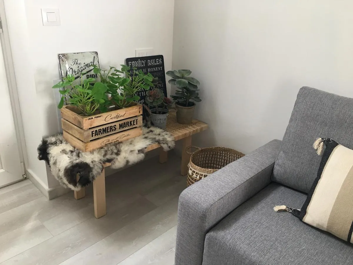 Loft Xerez Centro Apartment Jerez de la Frontera