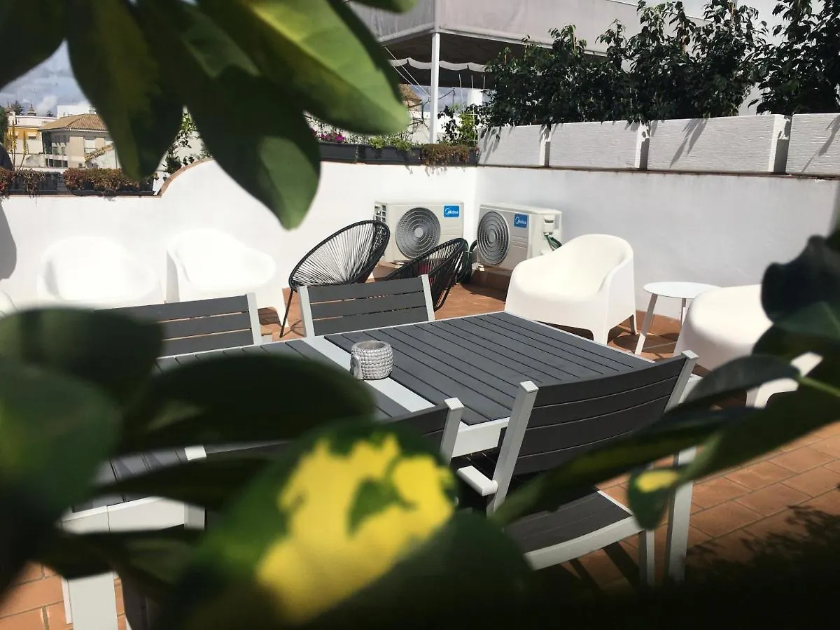 Loft Xerez Centro Apartment Jerez de la Frontera 0*,  Spain