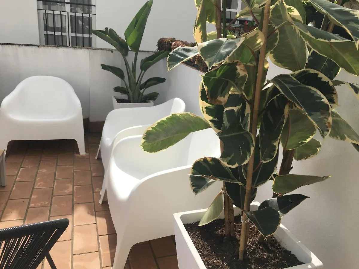 Loft Xerez Centro Apartment Jerez de la Frontera