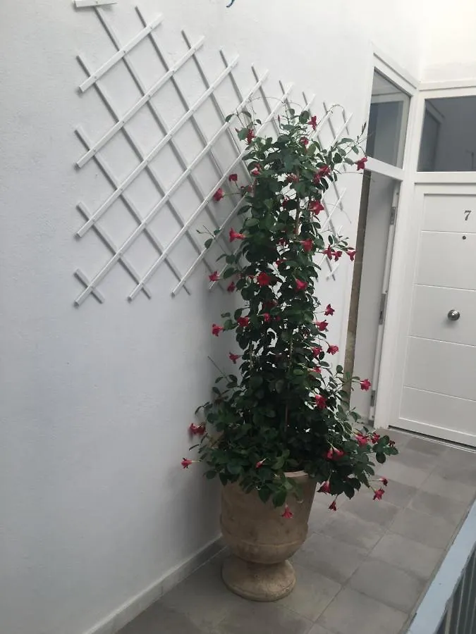Loft Xerez Centro Apartment Jerez de la Frontera
